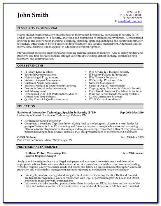 Best Professional Resume Template Download