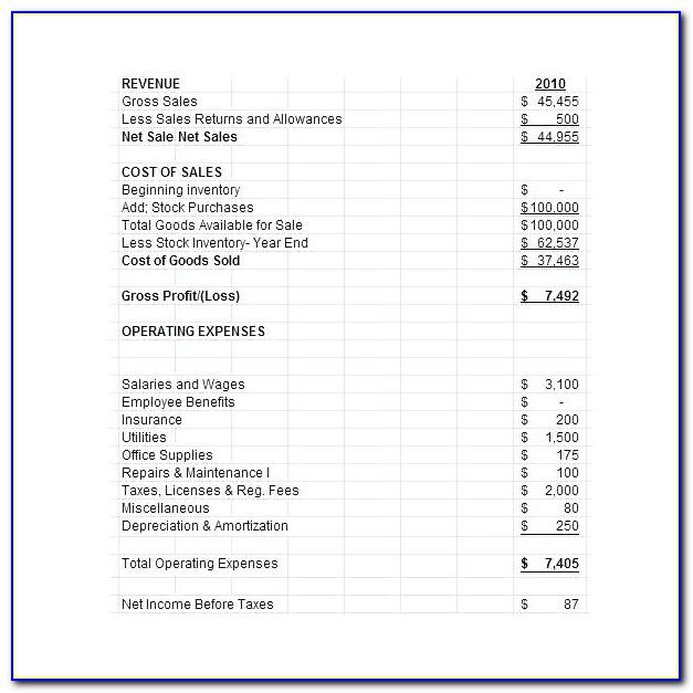Pro Forma Annual Profit And Loss Statement