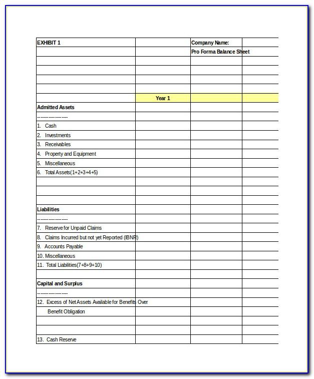 Pro Forma Balance Sheet And Income Statement Template