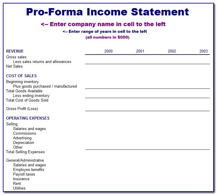 Pro Forma Profit And Loss Statement Example