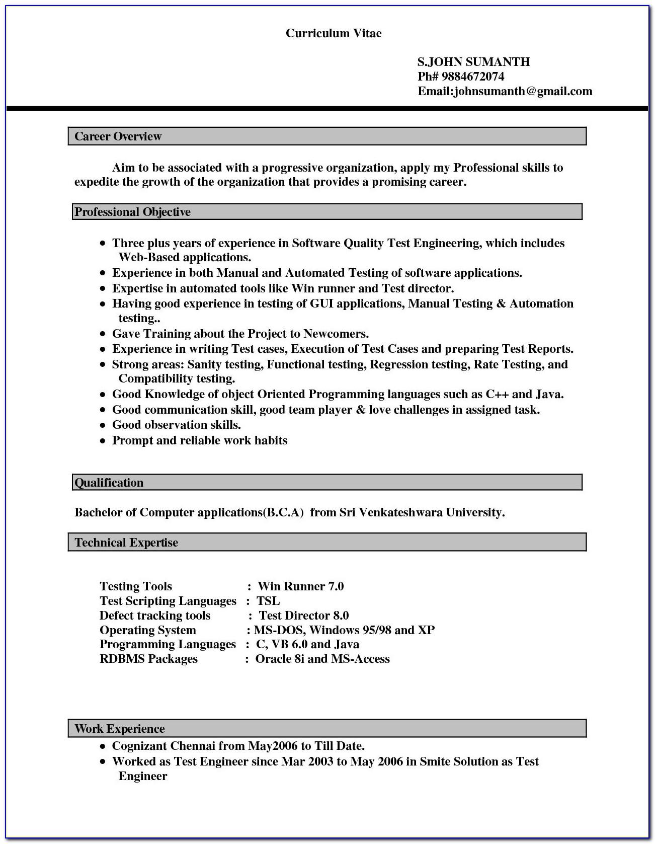 Professional Cv Template Free Download Doc
