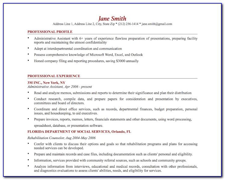 Professional Cv Templates Word Free Download