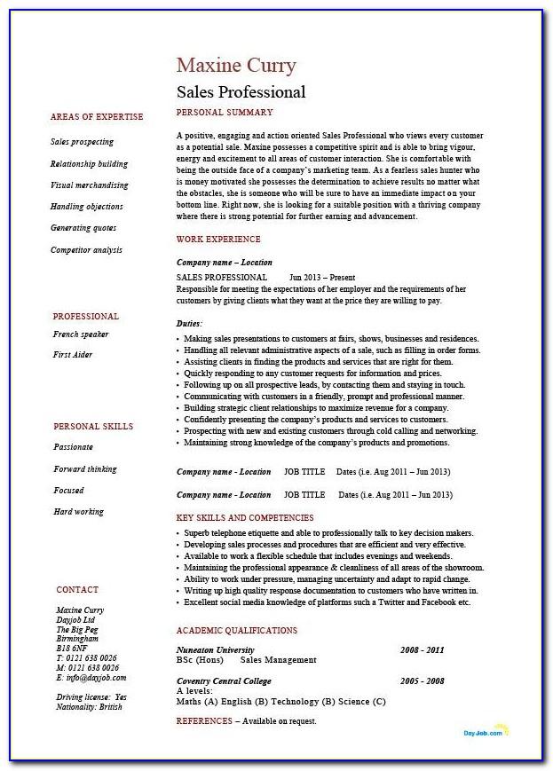 Professional Resume Format For Sales Manager