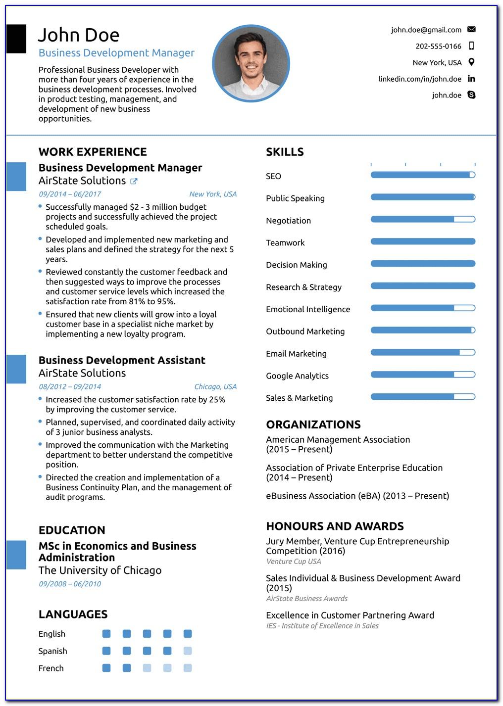 Professional Resume Format With Photo