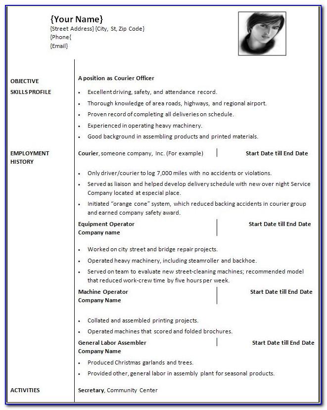 Professional Resume Template Doc Download
