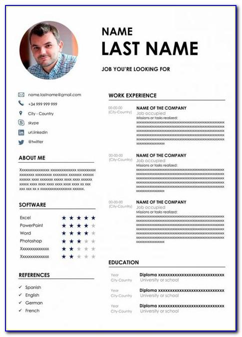 Professional Resume Template In Word 2007