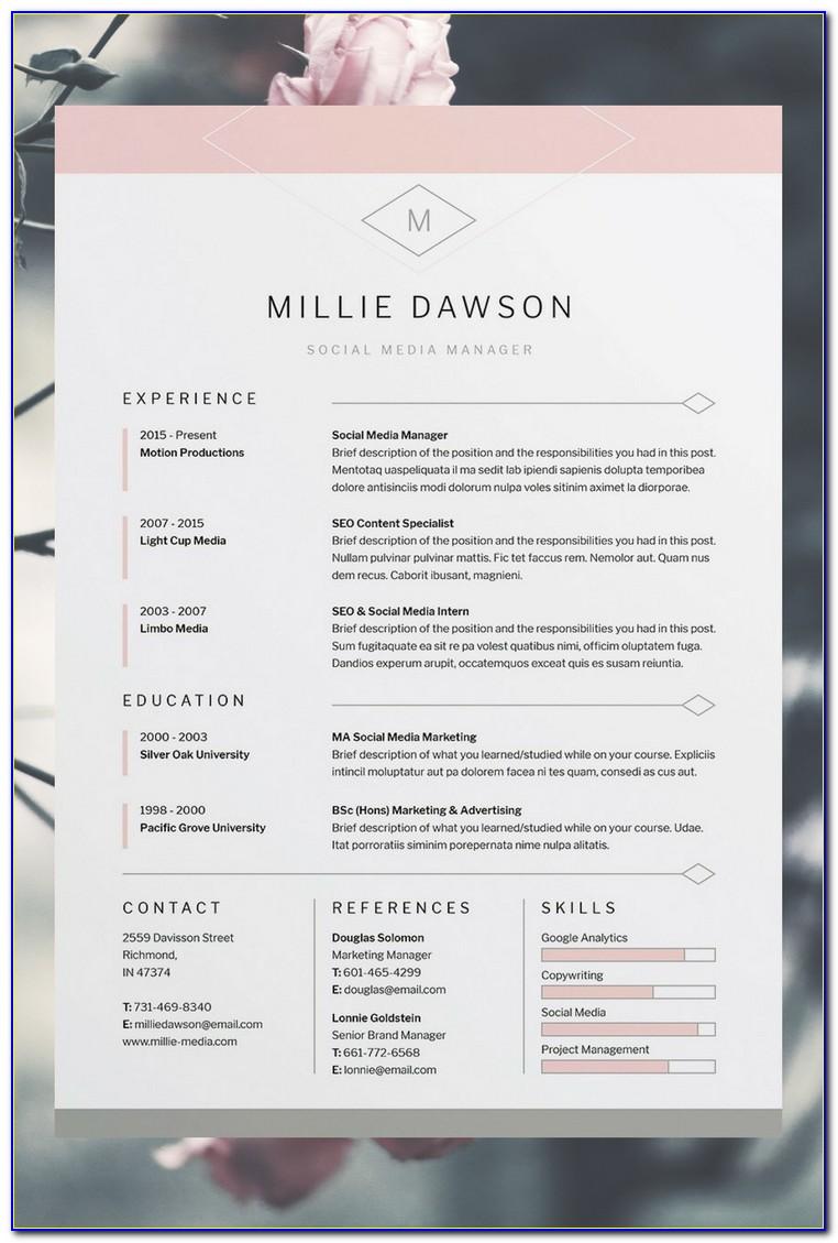 Professional Resume Template Ms Word