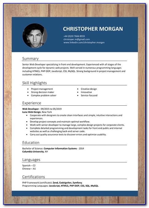 Professional Resume Template With Photo