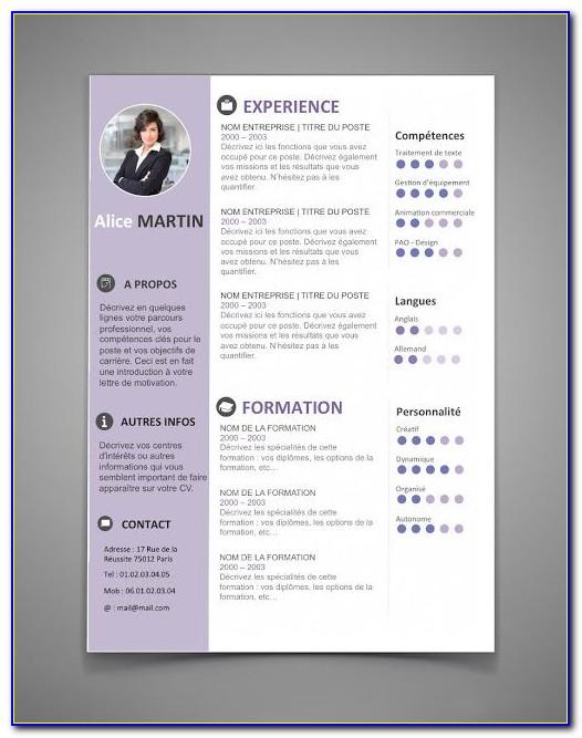 Professional Resume Template Word 2018