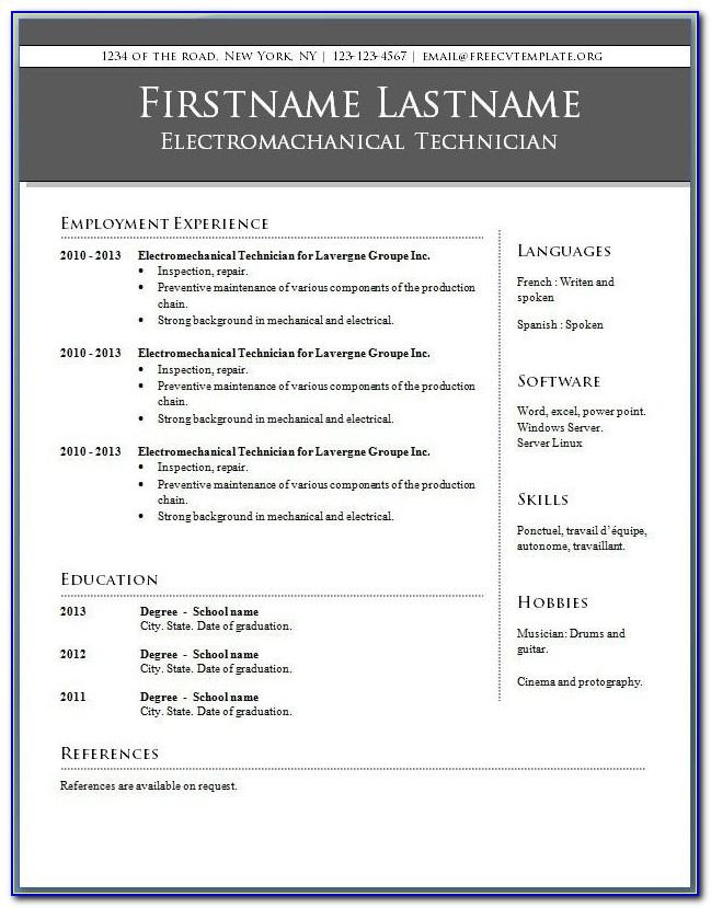Professional Resume Template Word Document