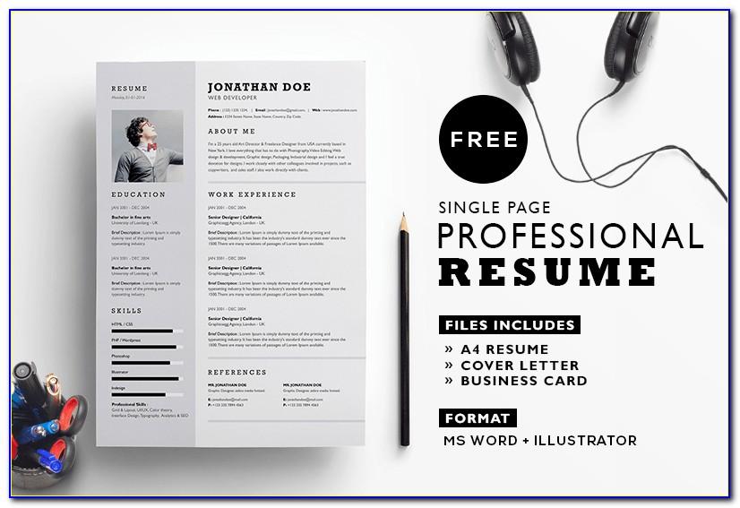 Professional Resume Template Wordpress