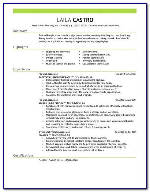 Professional Resumes Templates Free