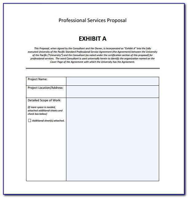 Professional Services Proposal Example