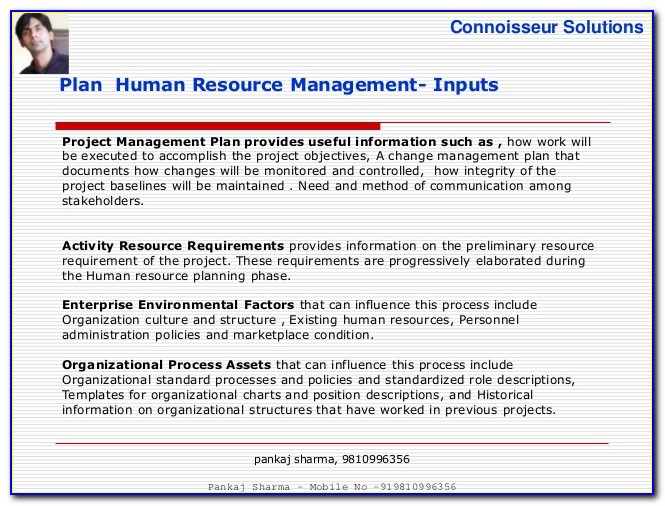 Project Management Human Resource Plan Example
