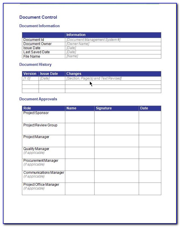 Project Management Sample Template