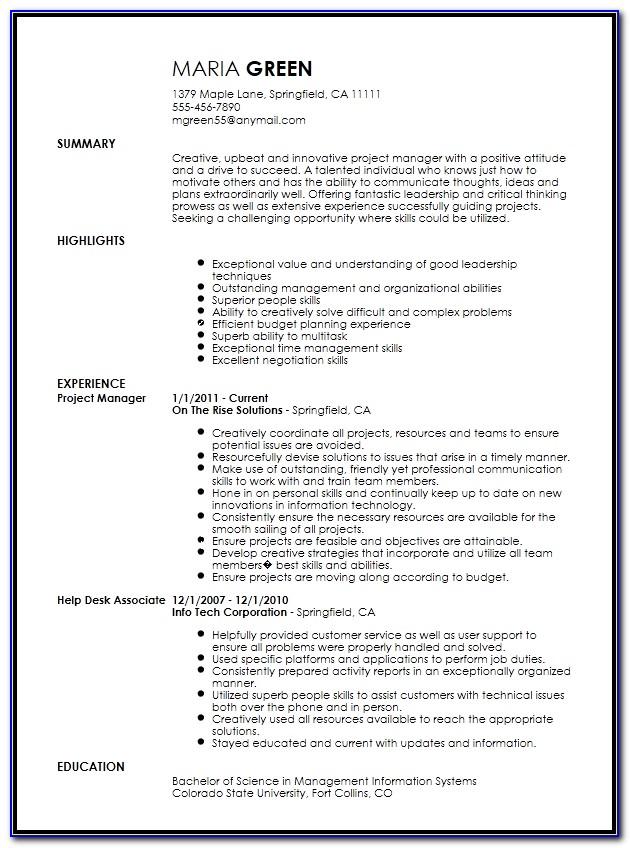 Project Manager Resume Example Entry Level