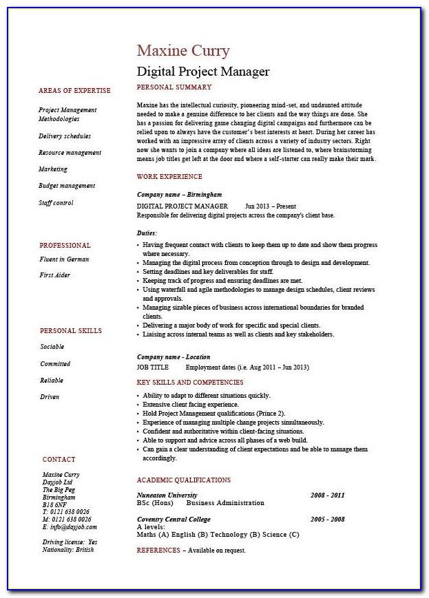 Project Manager Resume Sample Doc
