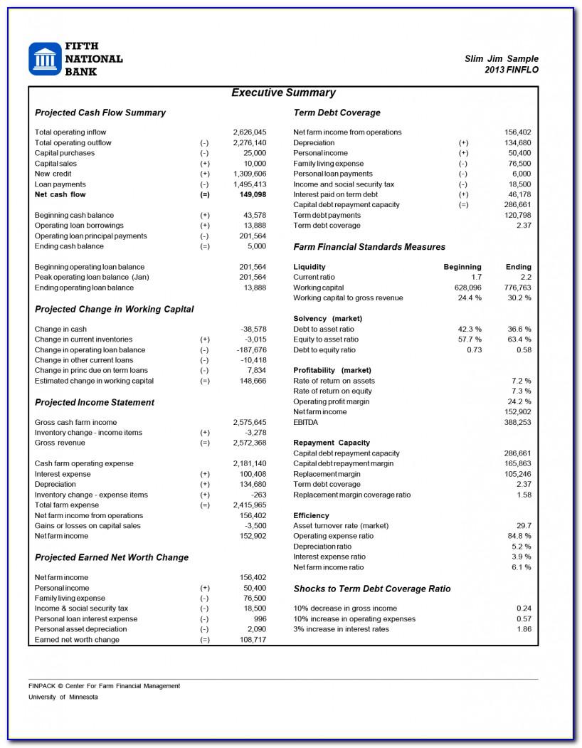 Projected Income Statement And Balance Sheet Template