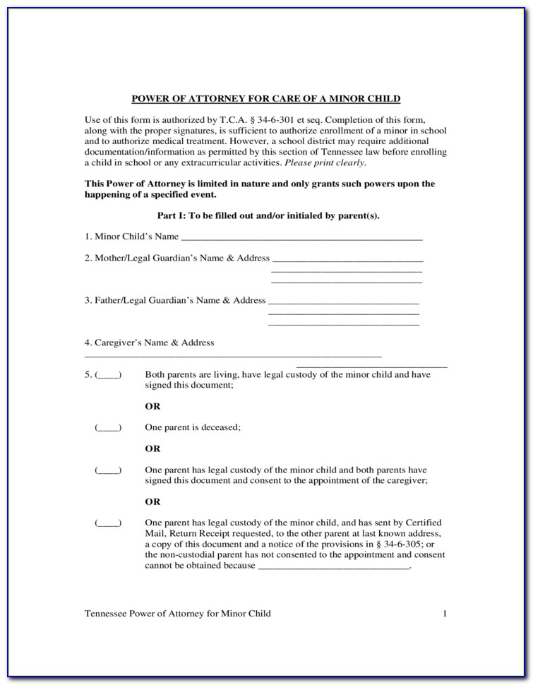 Durable Power Of Attorney Form Florida Pdf