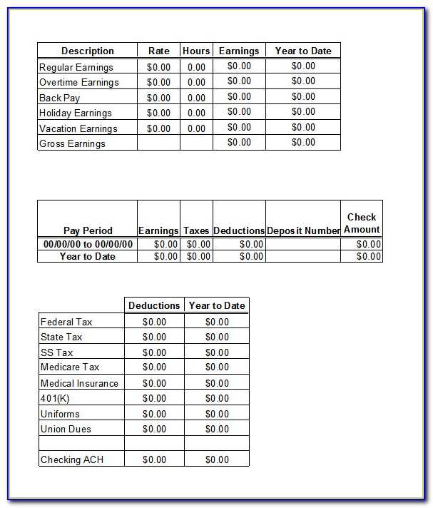 Free Adp Pay Stub Template With Calculator