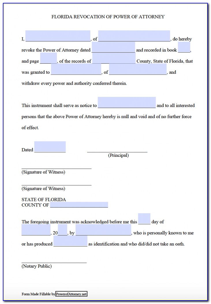 Medical Power Of Attorney Form Florida Child