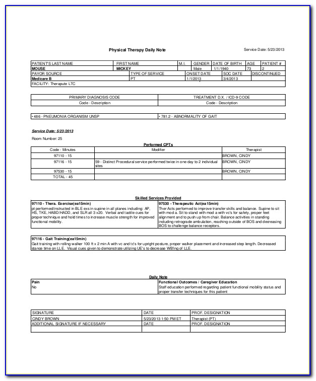 Occupational Therapy Daily Notes Template