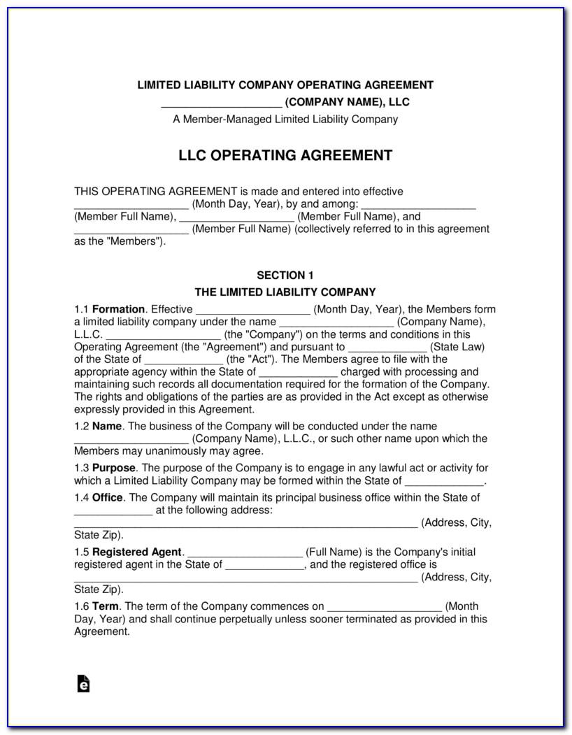 Operating Agreement For Llc Template Georgia