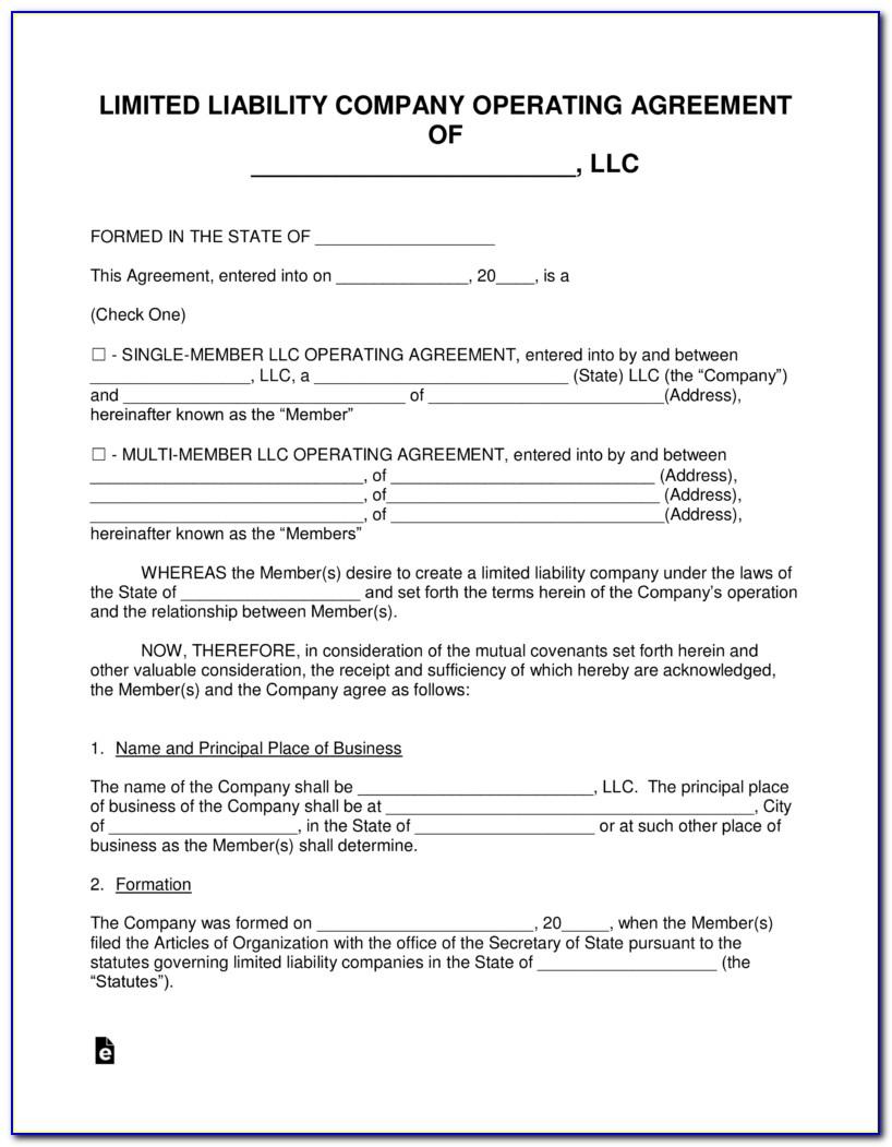 Operating Agreement Form For Florida Llc