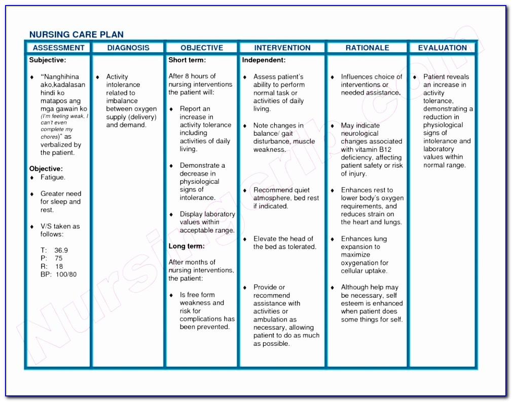 palliative care business plan template