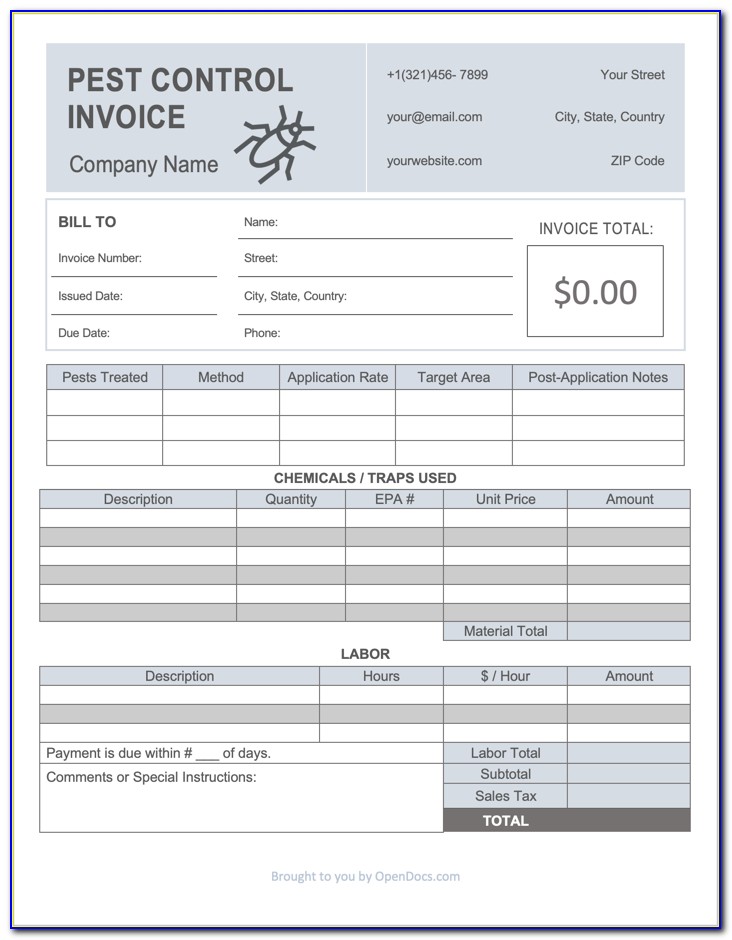 Pest Control Invoice Word Format