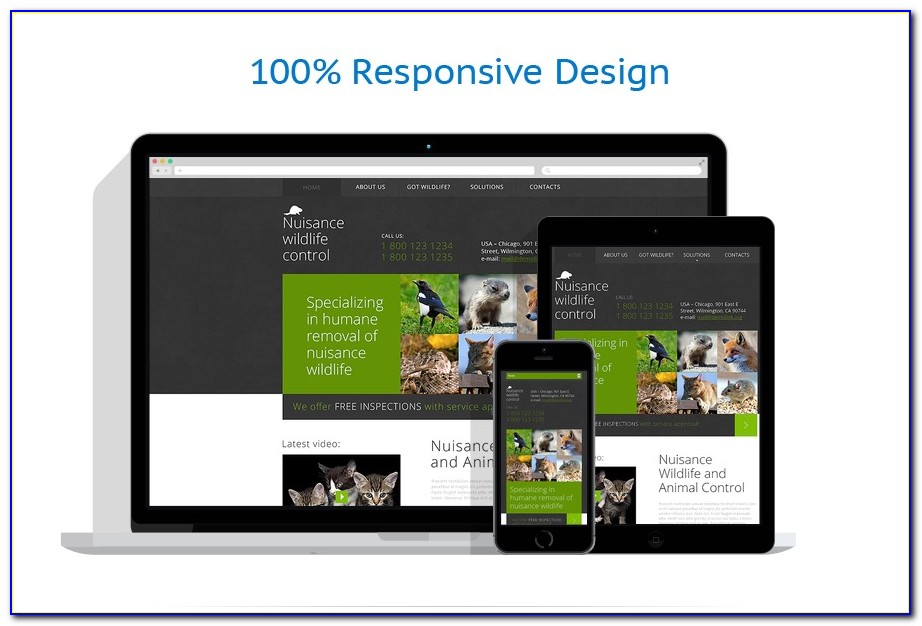 Pest Control Responsive Website Template Free Download