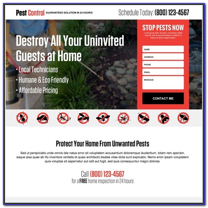Pest Control Templates Free Download