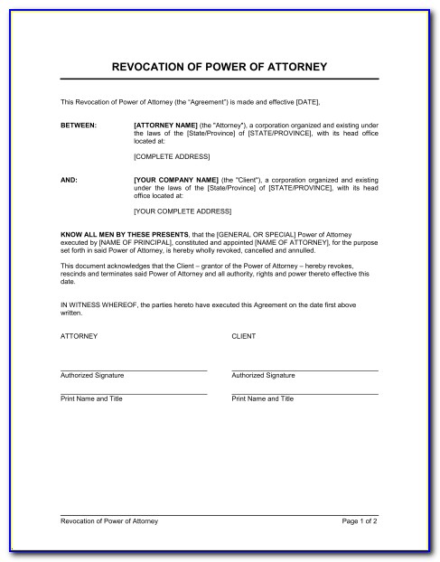 Power Of Attorney Template Florida