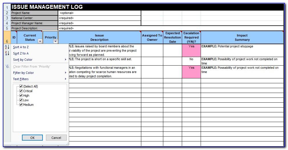 Microsoft Excel Issue Tracking Template