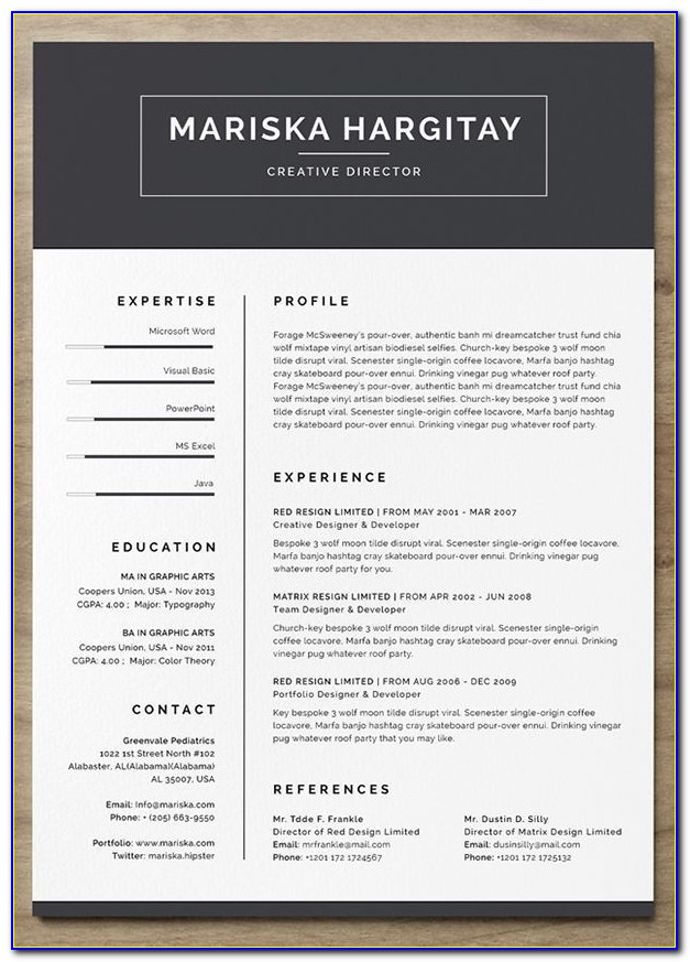 Modern Cv Template Word Free Download Indonesia