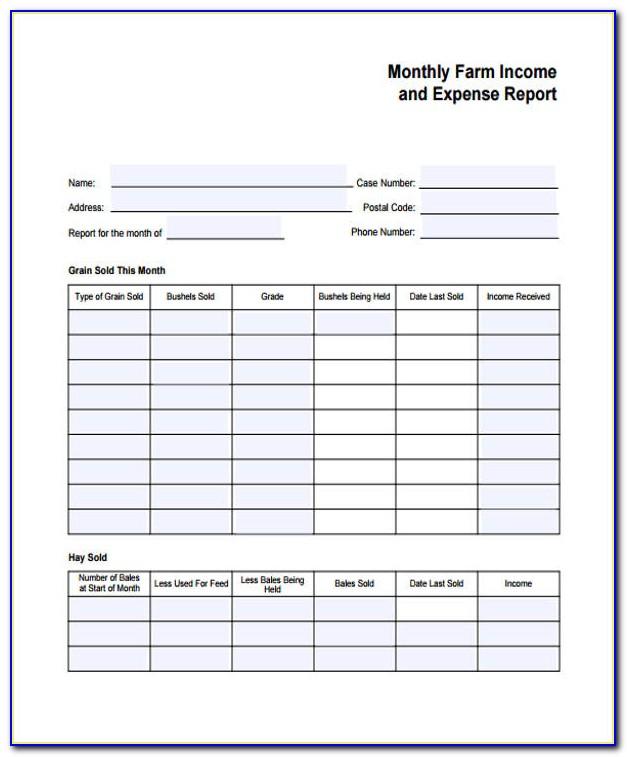 Monthly Expense Report Example