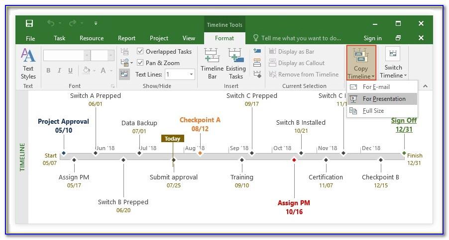 Ms Office Project Timeline Template