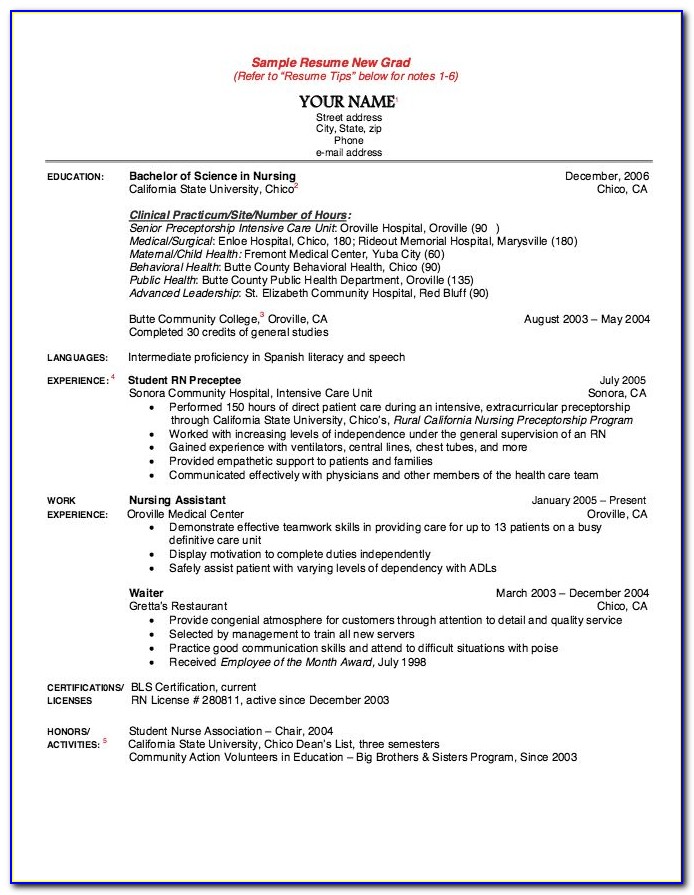 New Grad Rn Resume With No Experience Template