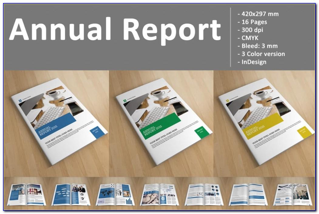 Nonprofit Annual Report Design Samples