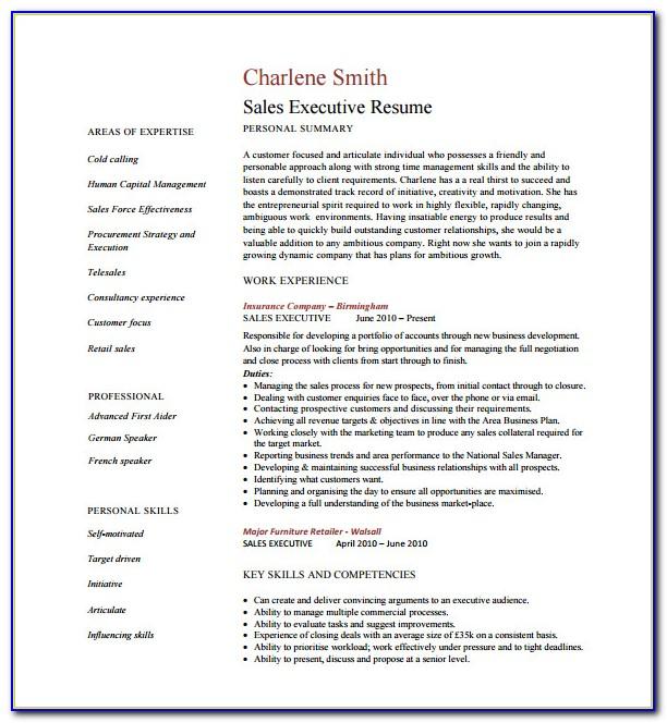 Executive Resume Template Word Download