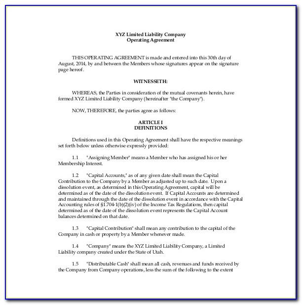 Llc Operating Agreement Florida Free Template