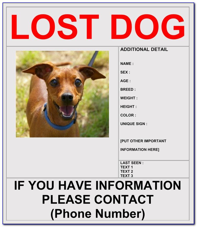 Lost Dog Flyer Template Free