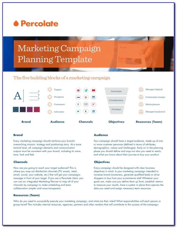 Marketing Campaign Analysis Report Example