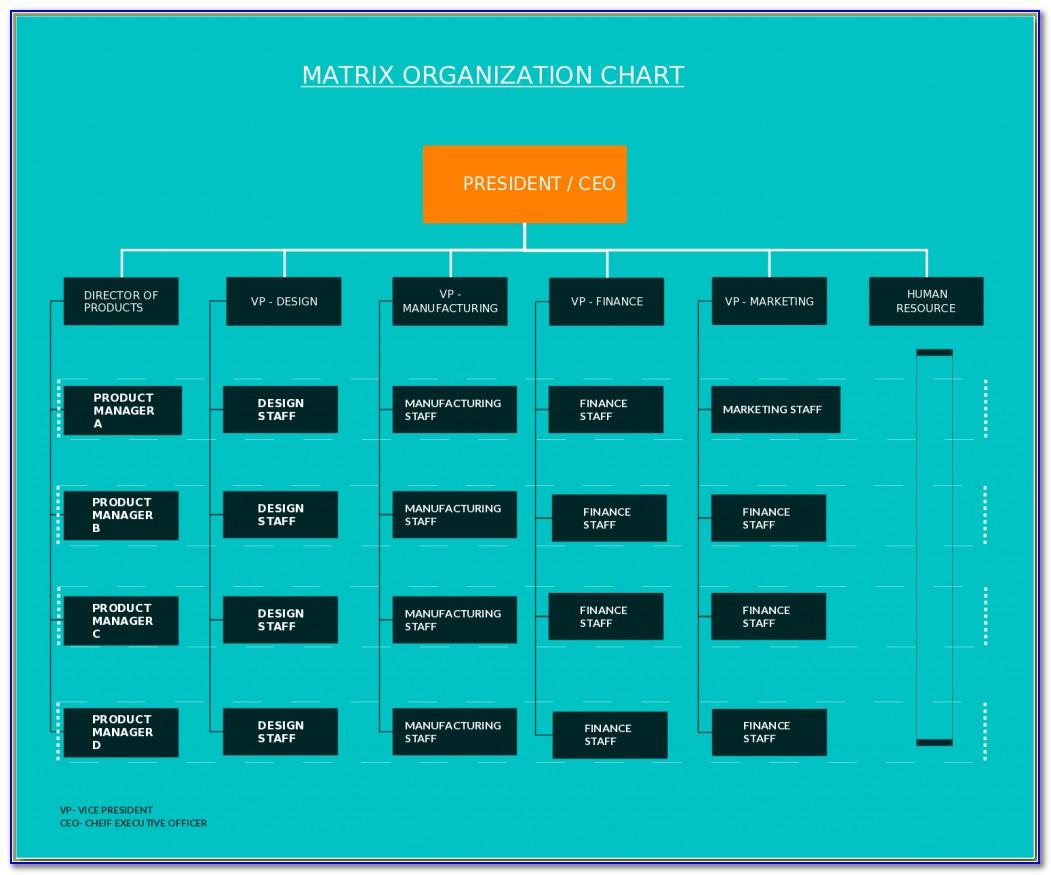 Matrix Organizational Structure Example