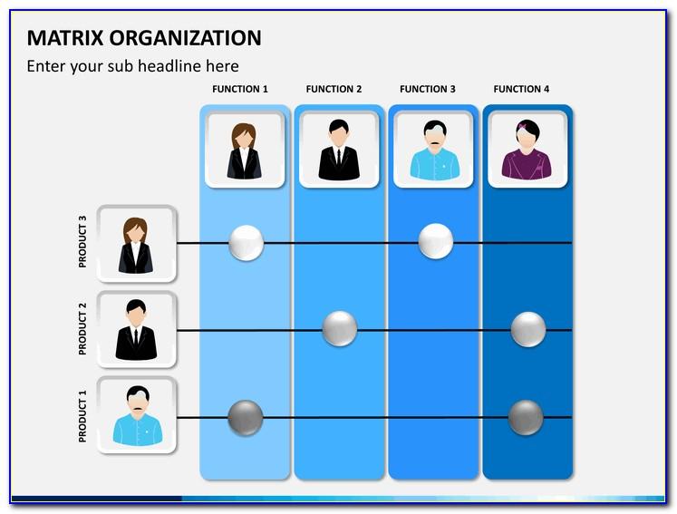 Matrix Organizational Structure Ppt Template