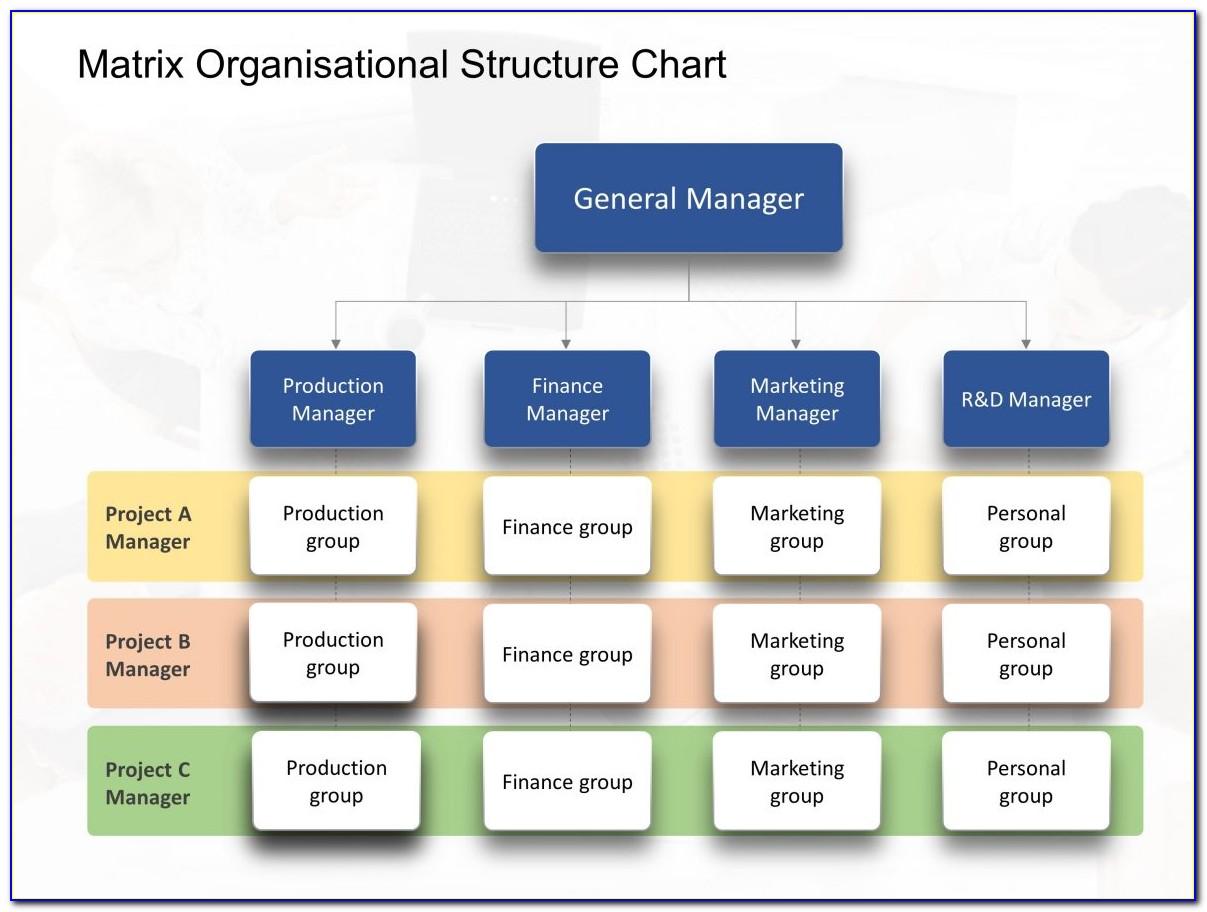 Matrix Organizational Structure Sample