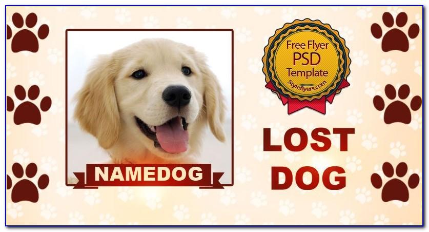 Missing Pet Poster Template Free