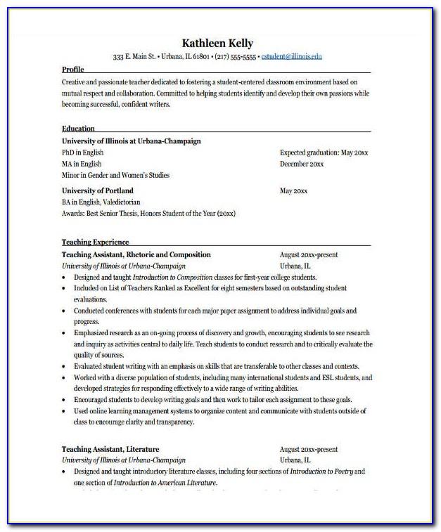 Resume Format For Freshers Lecturer Post Free Download