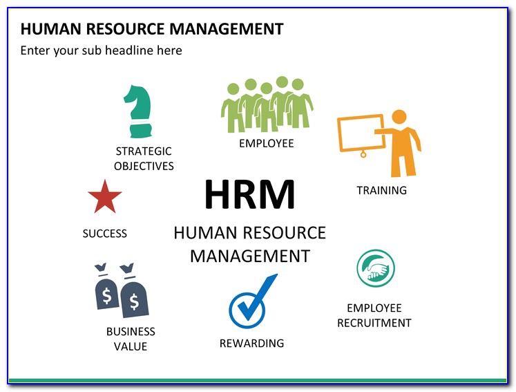 Examples Of Human Resources Policies And Procedures
