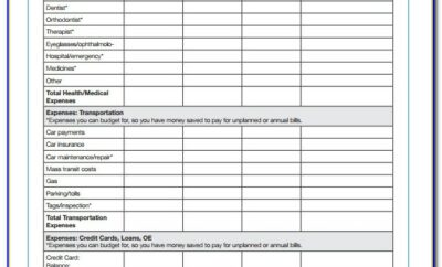 Household Budget Templates Excel